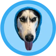DOGWIFHOOD