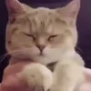 😗