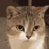 😡