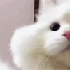 😍