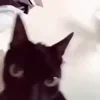 😡