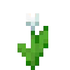 🎋