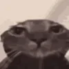 😐