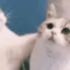 🙂