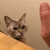 😊