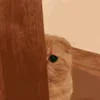 😆