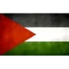 🇵🇸