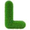 💚
