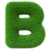 💚