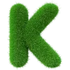 💚