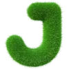 💚