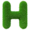 💚