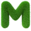 💚