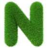 💚