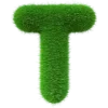 💚