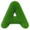 💚