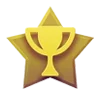 🌟