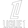 🇫🇷