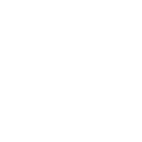 🔒