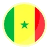 🇸🇳