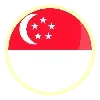 🇸🇬