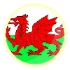 🏴󠁧󠁢󠁷󠁬󠁳󠁿