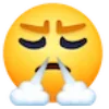 😤