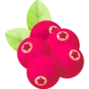 🫐