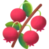 🫒