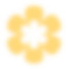 🌼