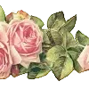 🌹