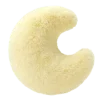 🌙