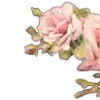 🌹