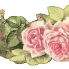 🌹