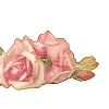 🌹