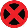 ❌
