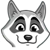 🦝