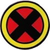 ❌