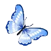 🦋