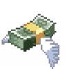 💸