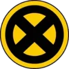 ❌