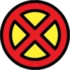 ❌