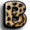 🐆