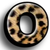 🐆
