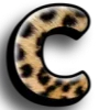 🐆