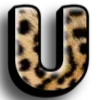 🐆