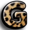 🐆