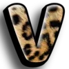 🐆