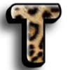 🐆