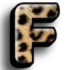 🐆